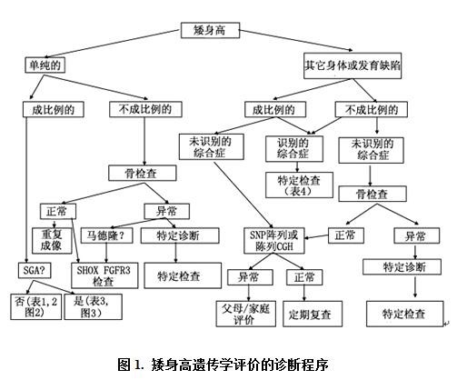 矮身高遺傳學評價的診斷程序.jpg