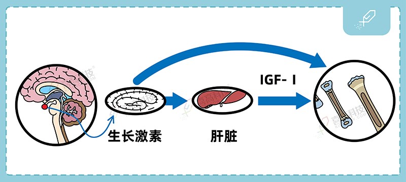 1_畫板 1 副本 2.jpg